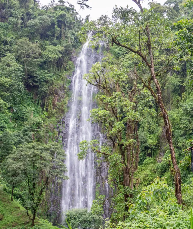 Cascata di Materuni tra la fitta vegetazione, ai piedi del Kilimanjaro