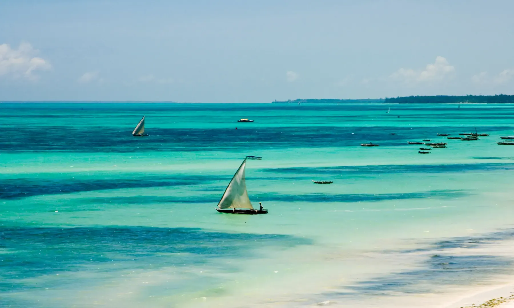 Dhow a vela sulle acque turchesi di Zanzibar