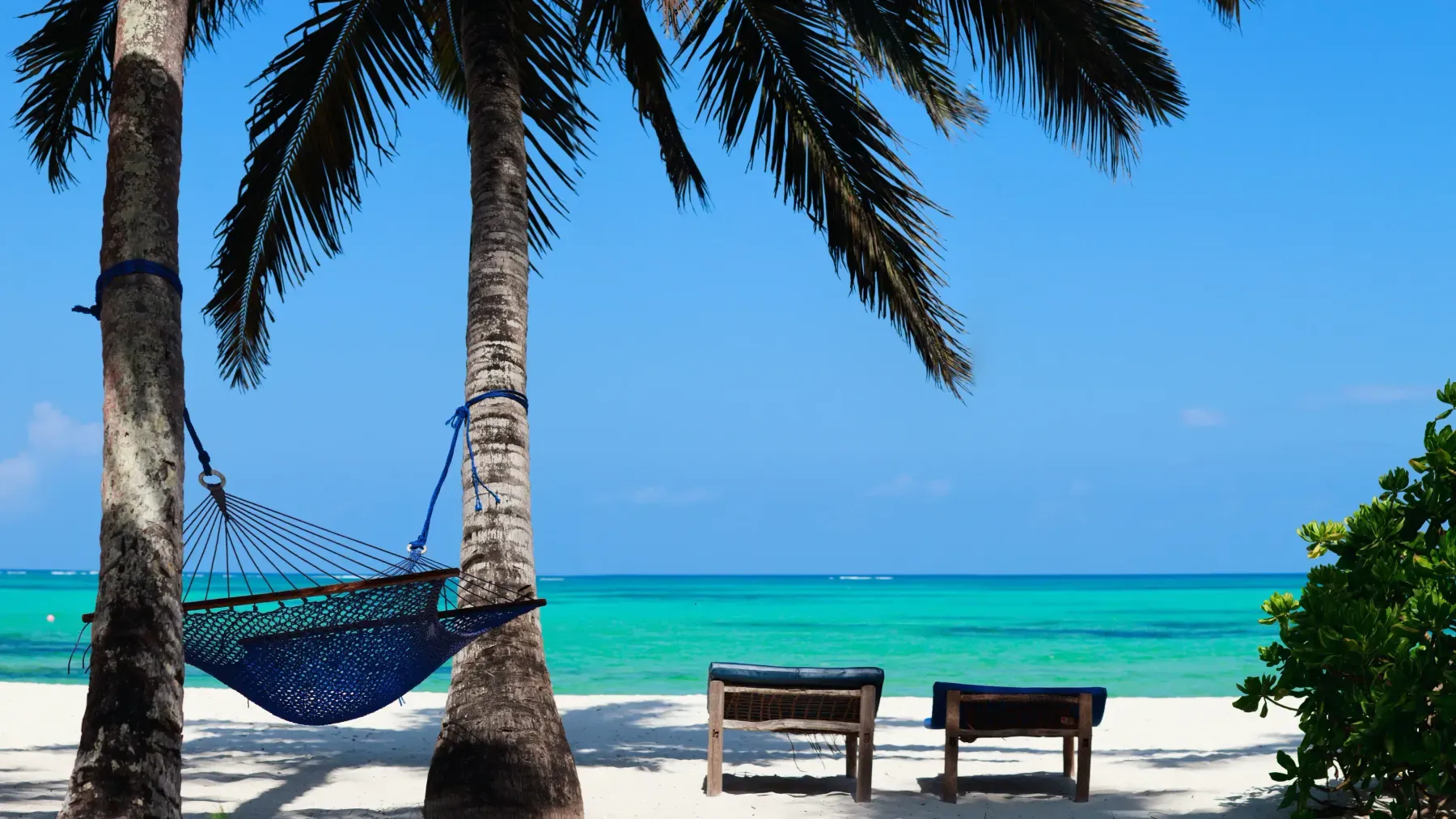 Amaca tra due palme su una spiaggia bianca a Zanzibar, con mare turchese
