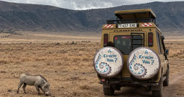 Jeep safari A Donde Vas Viaggi con un facocero sullo sfondo del cratere di Ngorongoro